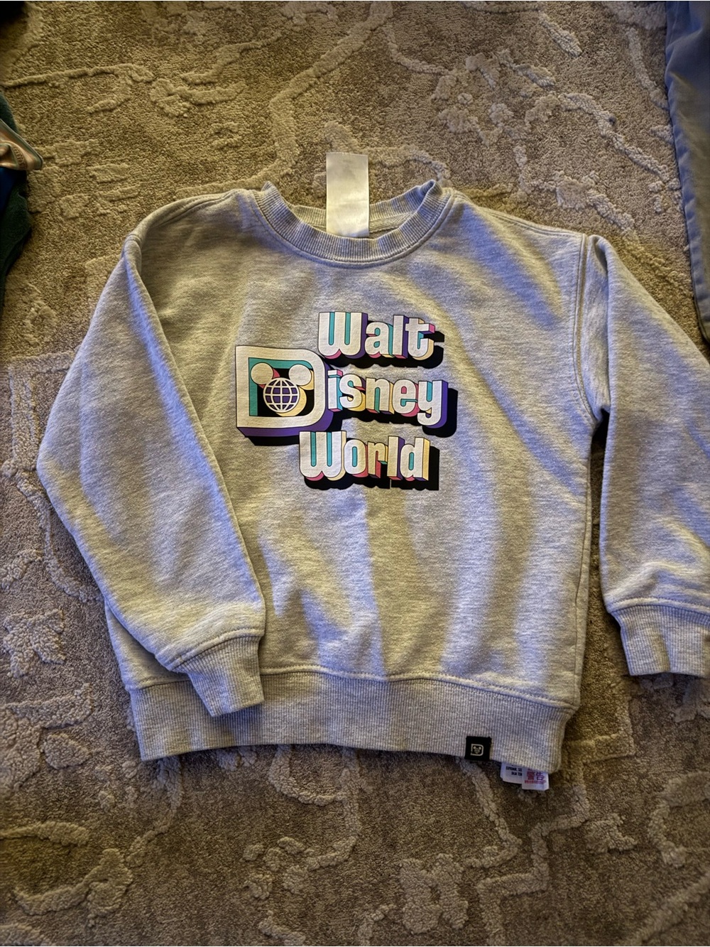 Disney Light Gray Kids Walt Disney World Graphic Sweatshirt
